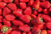 Waarom de aardbeien van nu veel lekkerder smaken