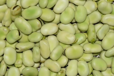 Tuinbonen zijn de meest onderschatte lentegroente van mei